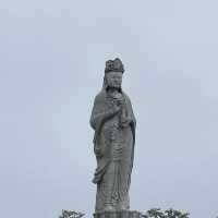 바다가 보이는 절, 낙산사🪷🌊