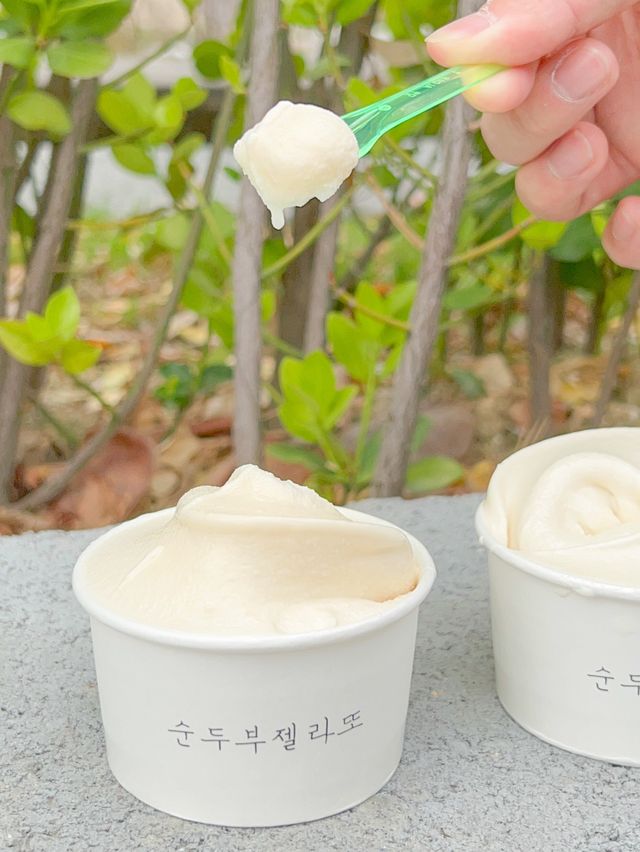 강릉여행 이것만해도 당일여행 완벽해✨