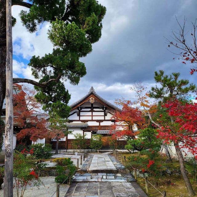 Arashiyama park