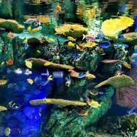 Shanghai Ocean Aquarium