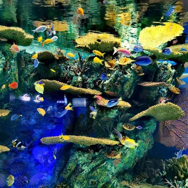 Shanghai Ocean Aquarium