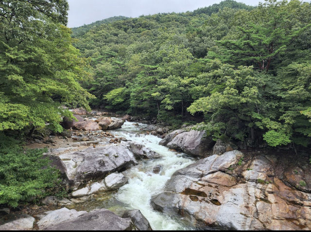 경남의 자연경관 명소_대원사 계곡길 트레킹