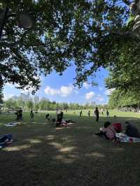 Picnic on a Sunny Afternoon