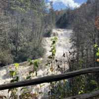 🥾 hiking by waterfall in Asheville 🥾 