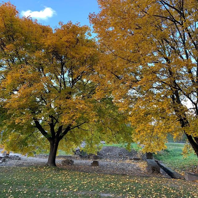 autumn 🍂 mood in Budapest , Hungary