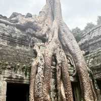 Amazing Angkor Wat no queues for pictures