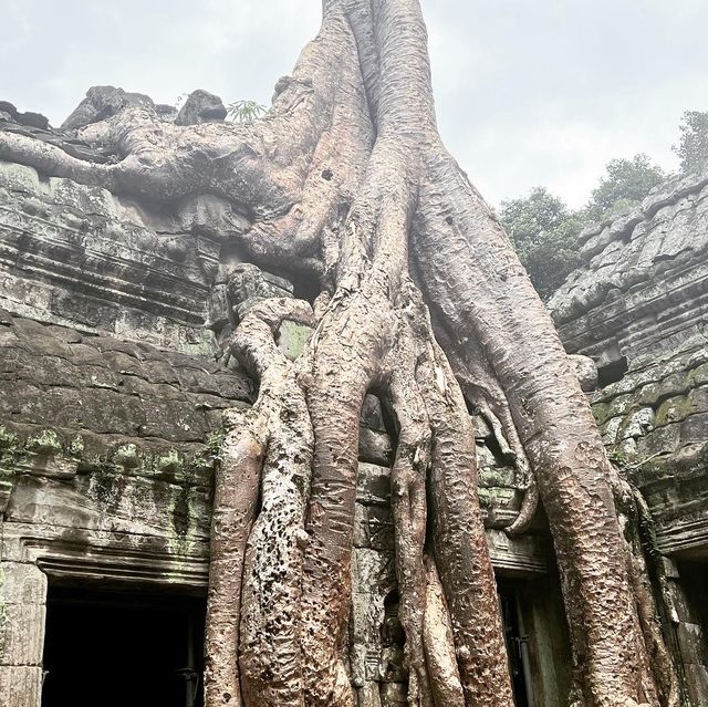 Amazing Angkor Wat no queues for pictures
