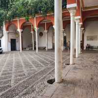 Nice Palace 