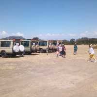 Savannah park  restaurant & camping naivasha 