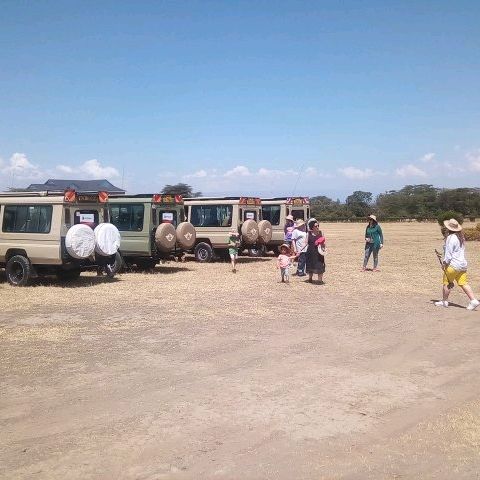 Savannah park  restaurant & camping naivasha 