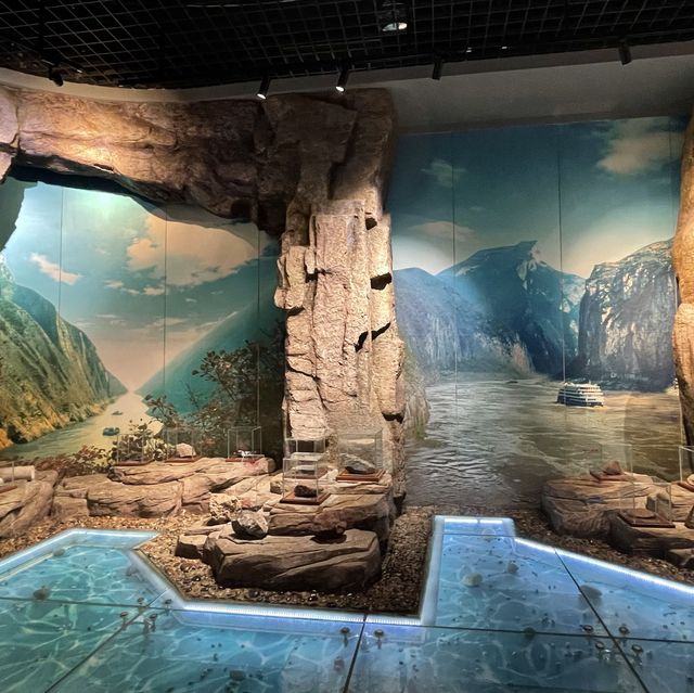 Chongqing - Three Gorges museum 
