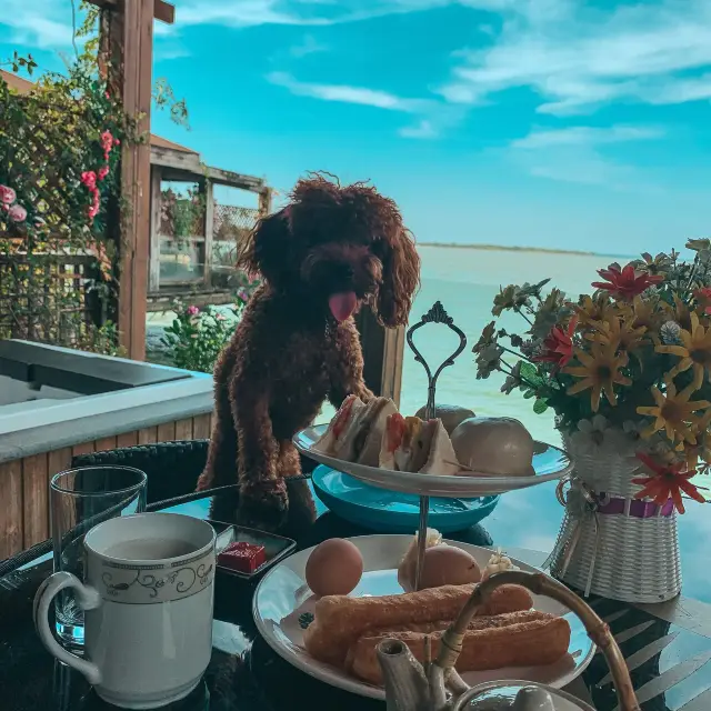 Bed and breakfast at your service 🙌🏻 
