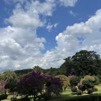 Tropical flowers garden - Xishuangbanna 