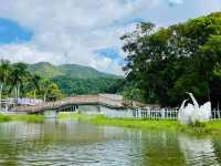 蝶豆花園 Butterfly Valley 