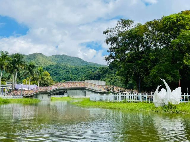 蝶豆花園 Butterfly Valley 