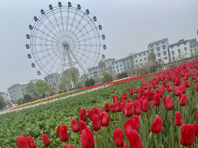 Mafan Agricultural Wonderland - Spring Time!