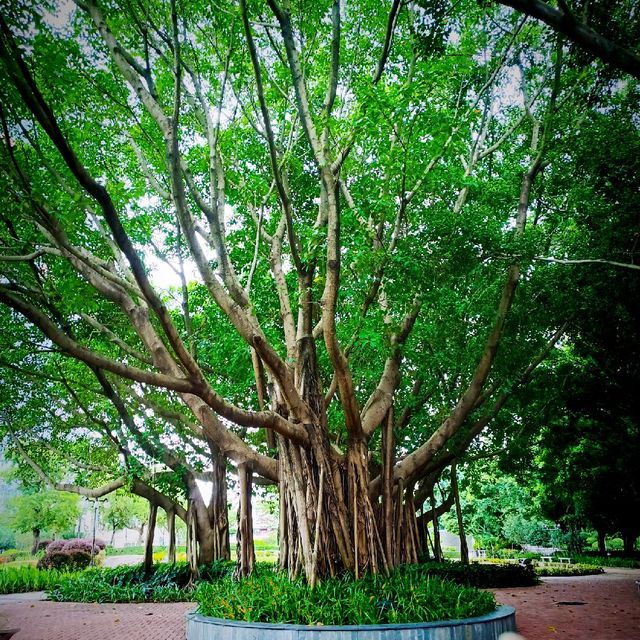 Longcheng Square, Longgang SZ