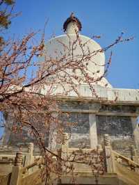 spring is the best to visit Beijing’s parks 