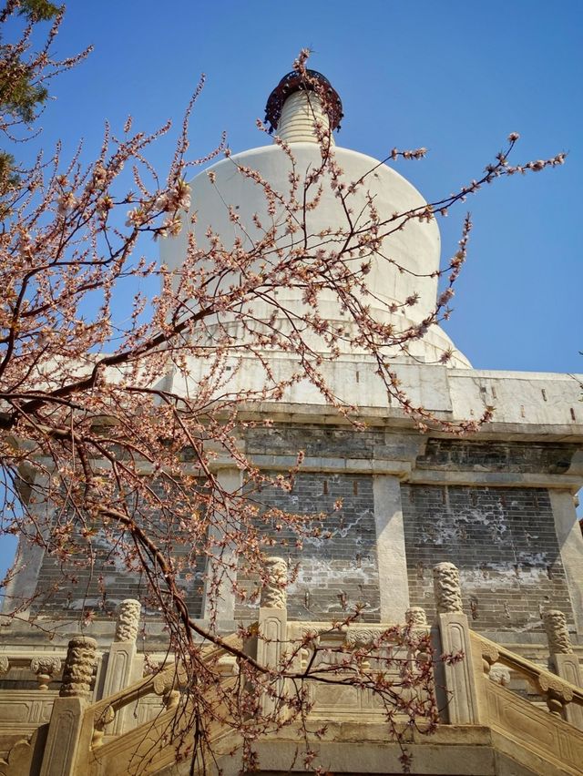 spring is the best to visit Beijing’s parks 
