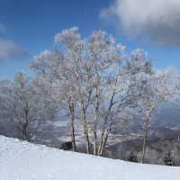 Ski at Beidahu