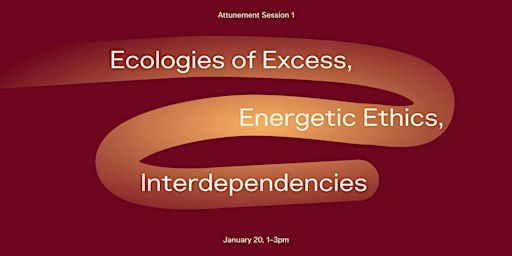 Ecologies of Excess, Energetic Ethics, Interdependencies | Daniels Spectrum