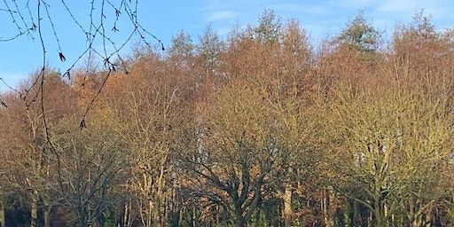 New Seasonal Somatics Series - Jan to March 2024 | Belvoir Forest Park