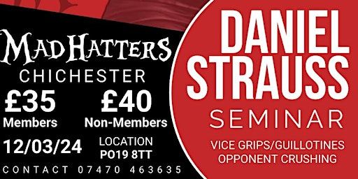 Daniel Strauss (the raspberry ape) seminar | Chichester Mad Hatters Brazilian Jiu Jitsu and MMA