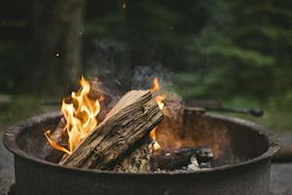 Father's Day - Woodland Fun and Campfire Cooking (ECC 2511) | Carlton Marshes Nature Reserve