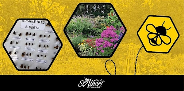 Native Bees 101 & Pollinator Walk | St. Albert Botanic Park