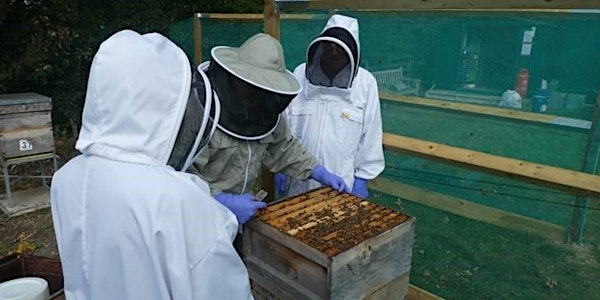 Beekeeper Taster Day | Coventry Branch Apiary