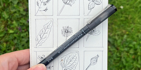 Green Sketching Workshop for adults | Gibraltar Point National Nature Reserve