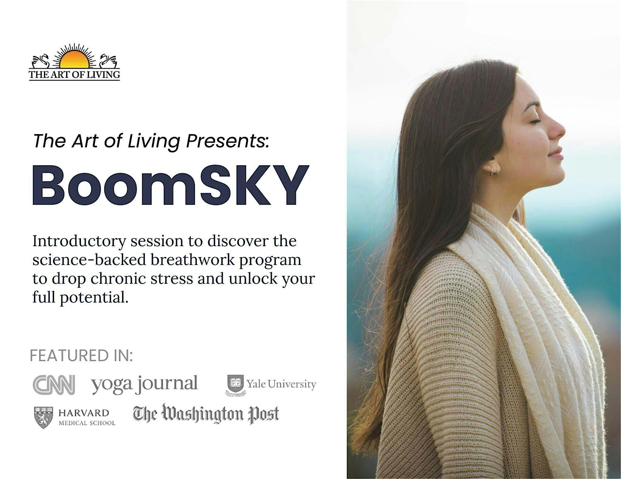 Intro to BoomSKY – An Unforgettable Experience | Barbri Lane