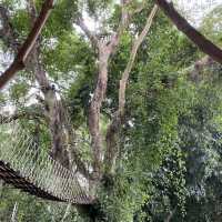 ร้านคาเฟ่ลับๆในป่า บรรยากาศธรรมชาติ