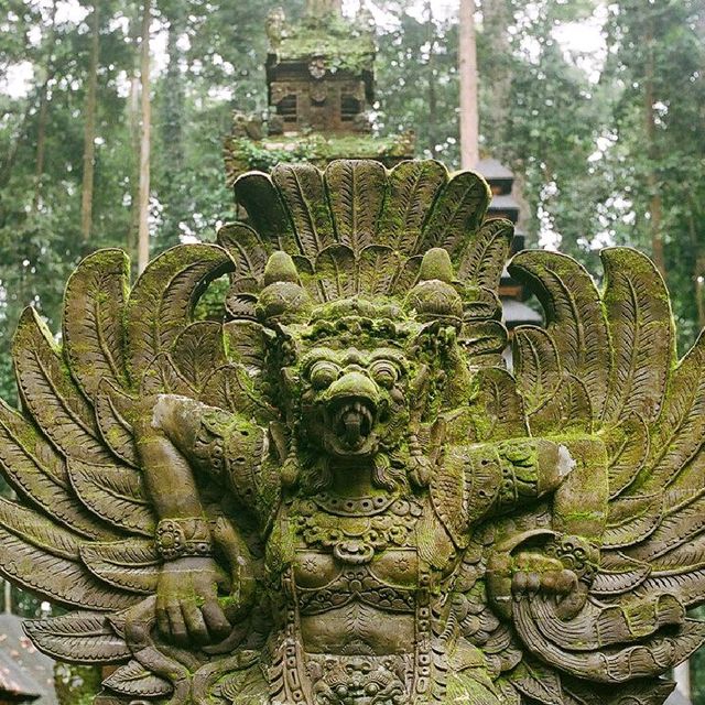MONKEY FOREST AT