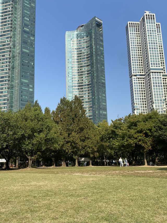 건물과 숲의 조화 🌳 서울숲 