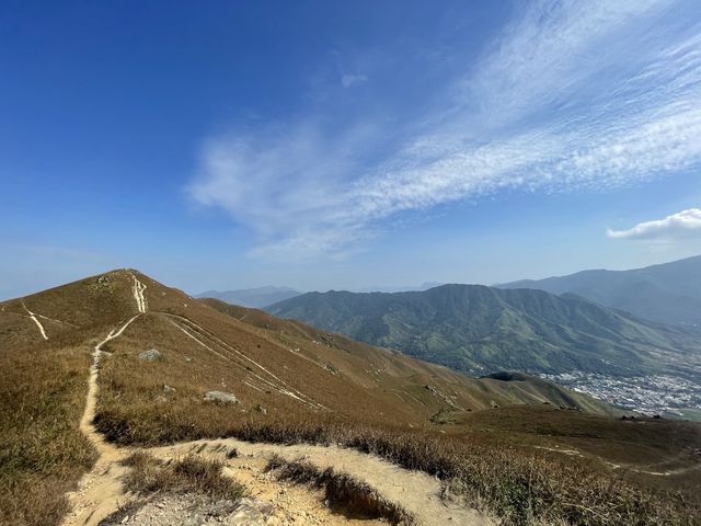 雞公嶺上看芒草🌾