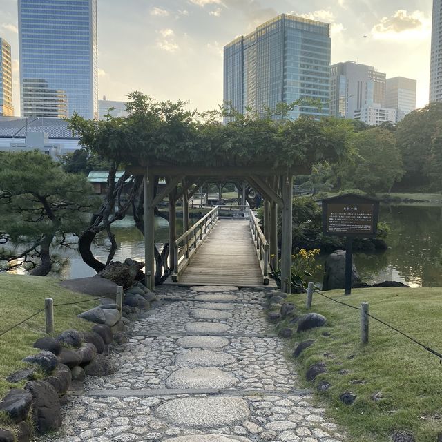 東京〝浜離宮恩賜庭園〟