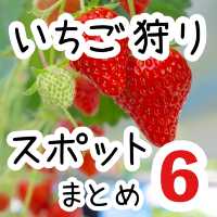 関東のいちご狩りスポットまとめ6選