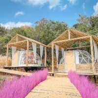 นาเขา คาเฟ่ BY Landbreeze resort เขาใหญ่