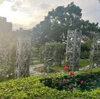 賞花必到的士林官邸玫瑰園🌹🥀