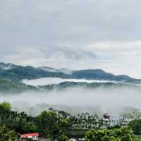 好山好水的南投鹿谷·阿東窯烤雞～30年獨家口味！流口水的美味～