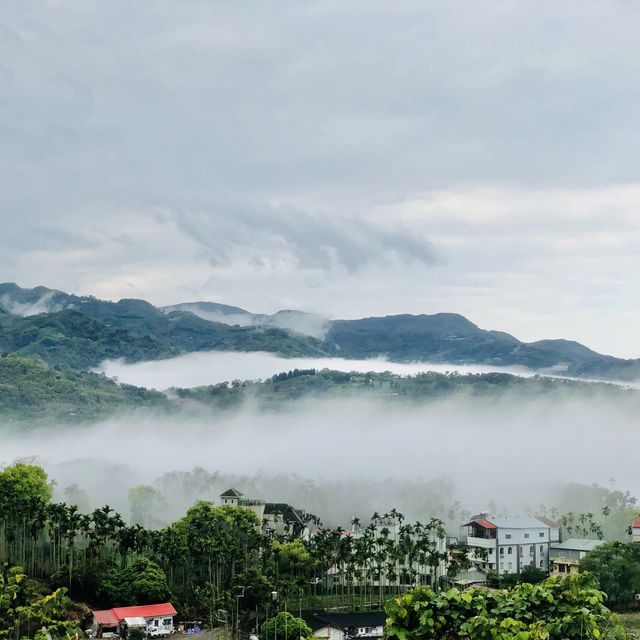 好山好水的南投鹿谷·阿東窯烤雞～30年獨家口味！流口水的美味～