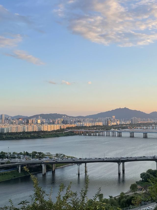 응봉산에서 하는 서울 구경🍃