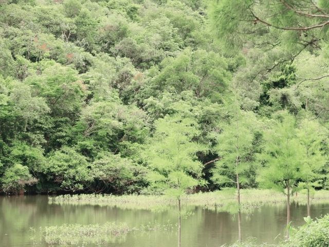 流水響郊遊徑