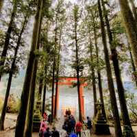 Lovely Tranquil Torii of Peace, Hakone