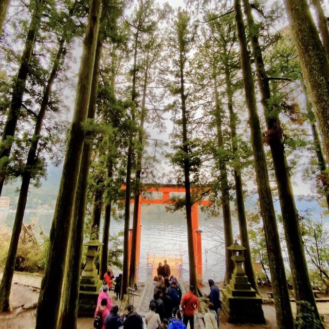 Lovely Tranquil Torii of Peace, Hakone