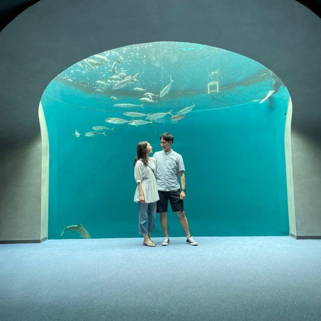 香川県にある四国水族館に行ってきた！🙋‍♀️