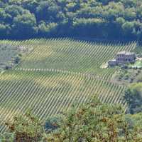 意大利Toscana🍷 中世紀酒鄕山城Montepulciano