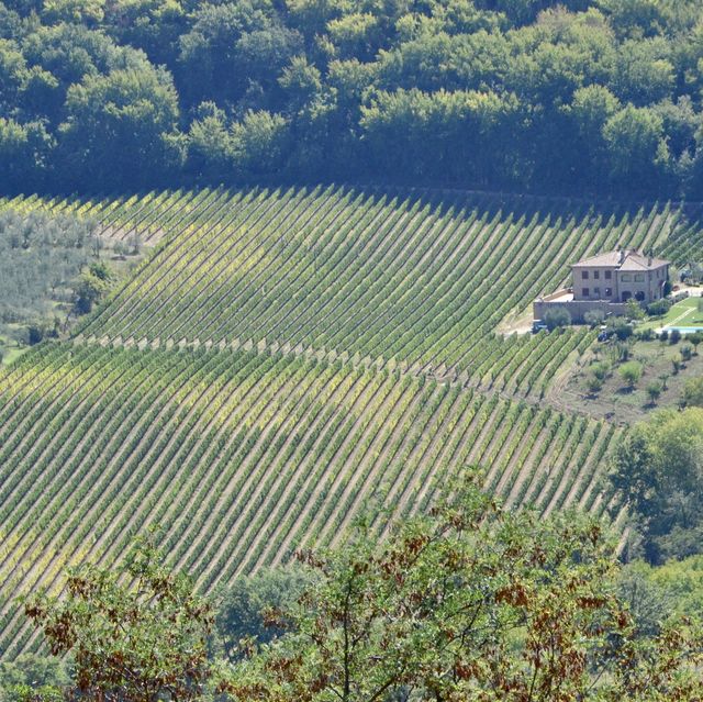 意大利Toscana🍷 中世紀酒鄕山城Montepulciano