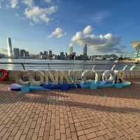 以沙灘為主題的海濱花園